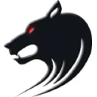 Black Wolf Production Services Inc.