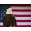 MRIGlobalGovCon