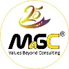 Management and Governance Consulting Management and Governance Consulting