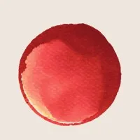 Decoding Draupadi