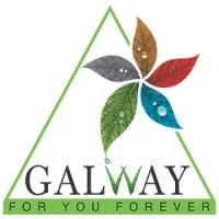 Galway Official