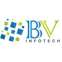 BV InfoTech Pvt. Ltd.