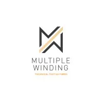 Multiple Winding Company Limited Multiple Winding Company Limited