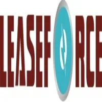 Leaseforce Professional Services