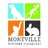 Montville Animal Hospital Montville Animal Hospital