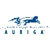Auriga Auriga