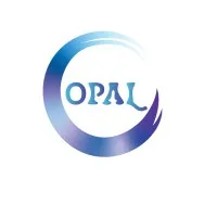 OPAL LEGAL TRANSLATION SERVICES LLC
