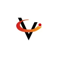 Vicom Systems