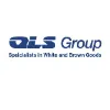 QLS Group QLS Group