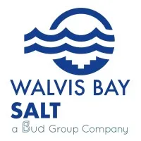 Walvis Bay Salt