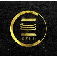 E Cell SATI
