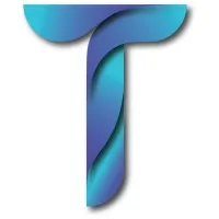 Techsorize Solutions