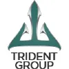 Trident Group America, Inc Trident Group America, Inc