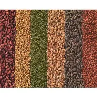 Simlaw Seeds Company Ltd