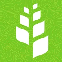 Great Ecology