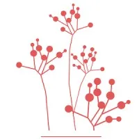 Laboratory for Research in Complex Systems