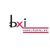 BXI Consultants BXI Consultants