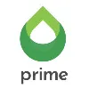 Prime Global Energies Limited Prime Global Energies Limited