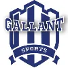 Gallant Sports India