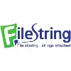 FileString FileString