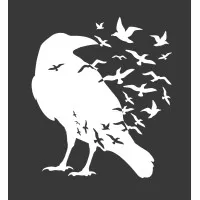 White Crow LLC