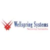 Wellspring Systems, Inc. Wellspring Systems, Inc.