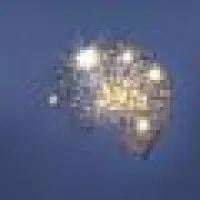 David Arky Photography David Arky Photography