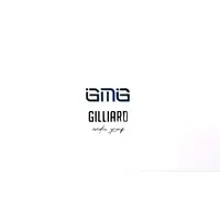 Independent Entertainment Industry Professional