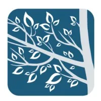 Silver Tree Communications, LLC Silver Tree Communications, LLC
