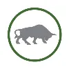Bull Market Capital