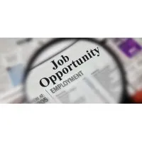 Job Alerts India