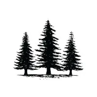 Pineway Media