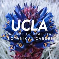 UCLA Mildred E. Mathias Botanical Garden UCLA Mildred E. Mathias Botanical Garden