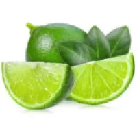Lime Outreach Lime Outreach