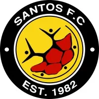 Santos Football Club - The People's Team