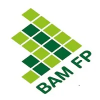 BAM Financial Planning