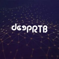 DeepRTB