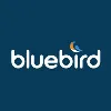 Bluebird Bluebird