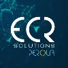 ECR SOLUTIONS ECR SOLUTIONS