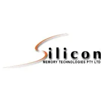 Silicon Memory Technologies