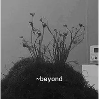 Beyond Ventures