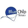 Blue Chip Strategies Limited Blue Chip Strategies Limited