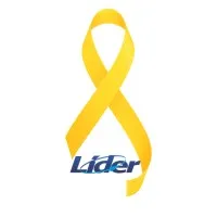 Líder Assessoria
