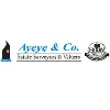 AYEYE & CO AYEYE & CO