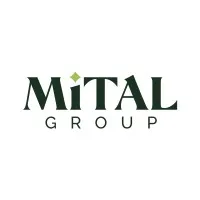 MiTAL Group