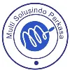 PT Multi Solusindo Perkasa