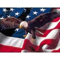 The Assurance USA Corporation