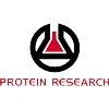 Protein Research Protein Research