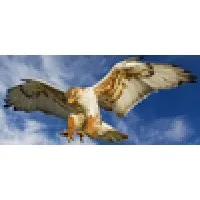 Hardaway High School