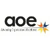 Advancing Organizational Excellence (AOE)